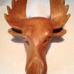 Moose